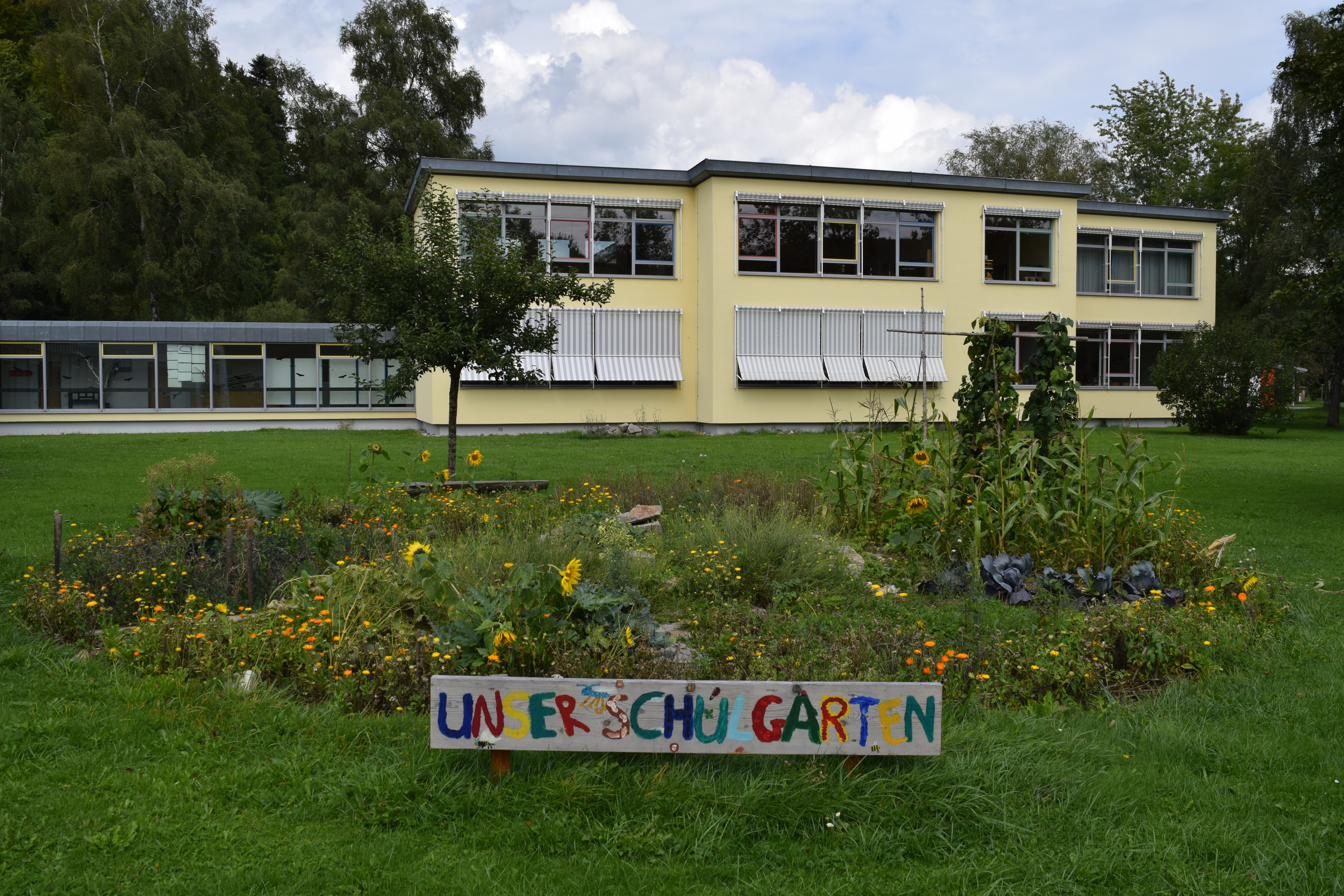 Bild des Schulgartens vor dem Schulgebäude der Anton-Braun-Grundschule. Vor dem Garten ist ein Schild mit bunten Großbuchstaben, auf denen "UNSER SCHULGARTEN" steht