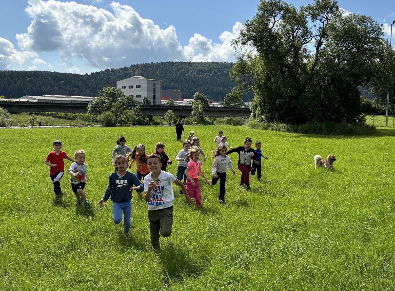 Das Wappen der Stadt Möhringen bei Tuttlingen mit der Mohrfrau auf blauem Hintergrund.