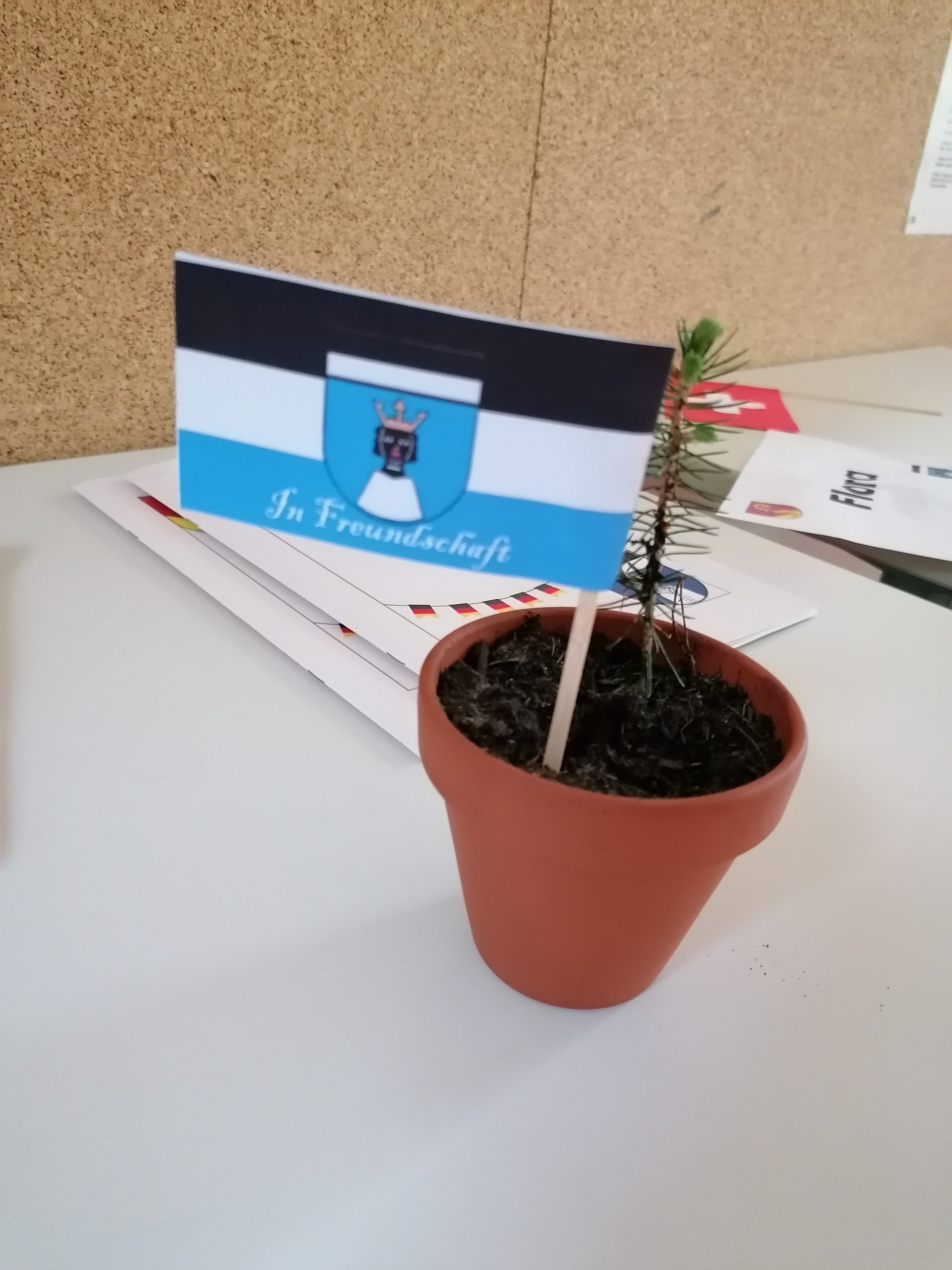 Das Wappen der Stadt Möhringen bei Tuttlingen mit der Mohrfrau auf blauem Hintergrund.